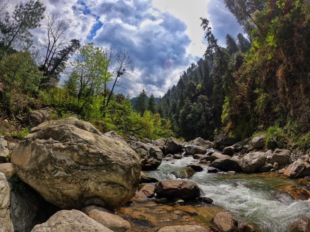 Tirthan Anglers' Retreat Banjār Buitenkant foto