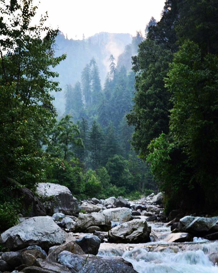 Tirthan Anglers' Retreat Banjār Buitenkant foto