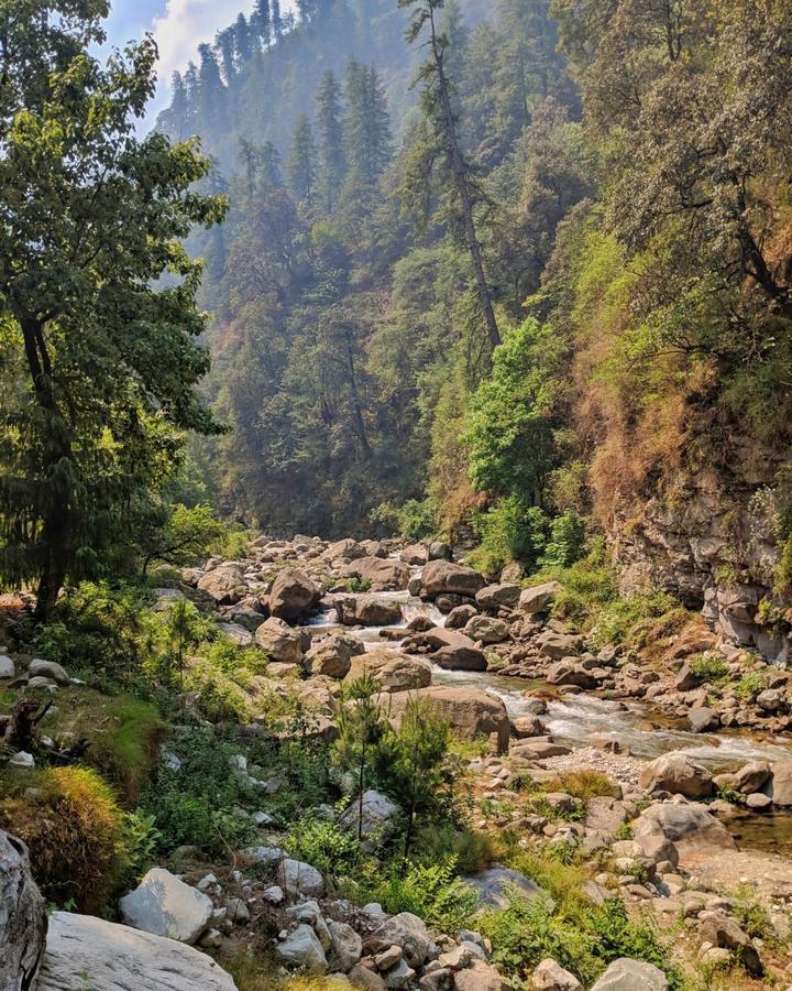 Tirthan Anglers' Retreat Banjār Buitenkant foto